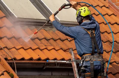 Démoussage et hydrofuge de toiture à Barcus